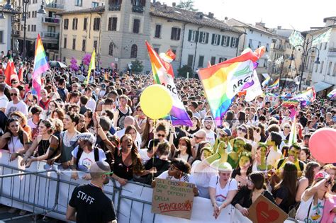 siena gay|Siena Gay Profiles